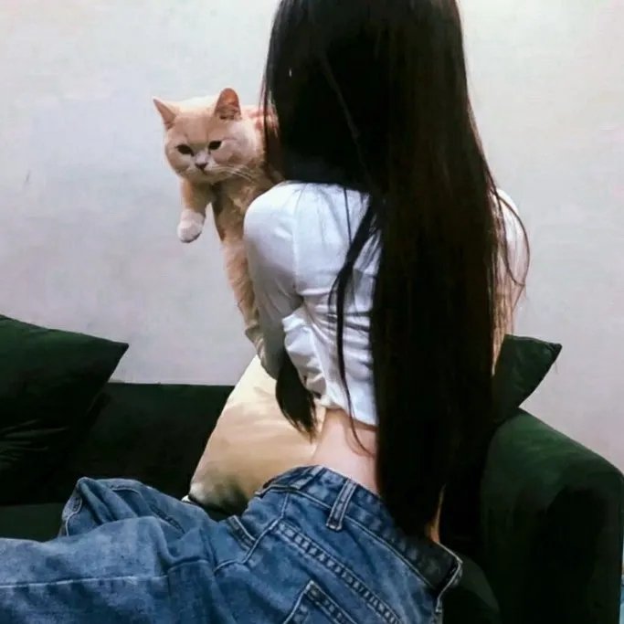 茱莉小姐 在线观看